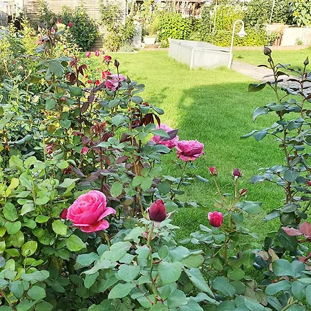 Hainichglueck * Bad Langensalza