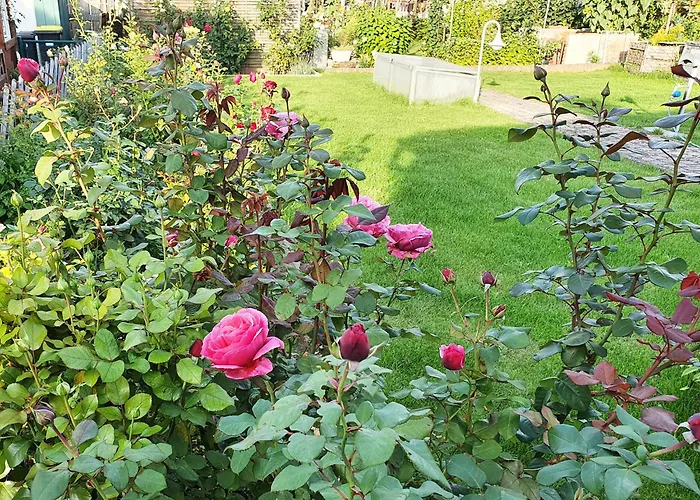 Hainichglueck * Bad Langensalza